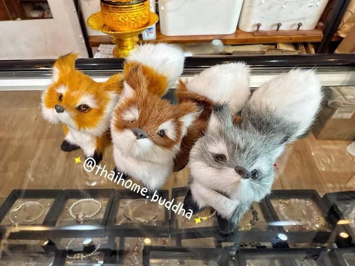 阿贊公｜小狐狸🦊